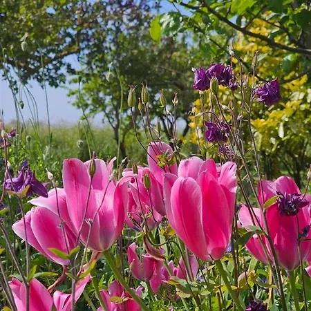 Apartamento Flut Dornum